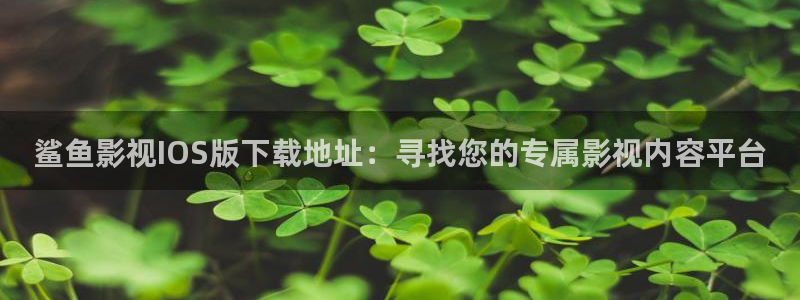 欧美aaaaabbbbb大片