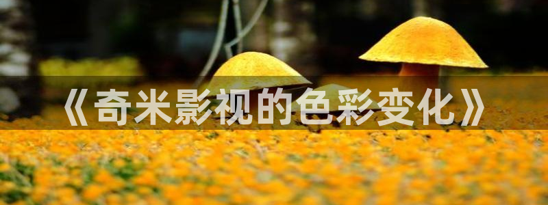 欧美aaaa影院