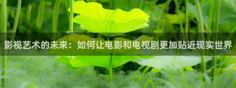 午夜电影aaa剧场