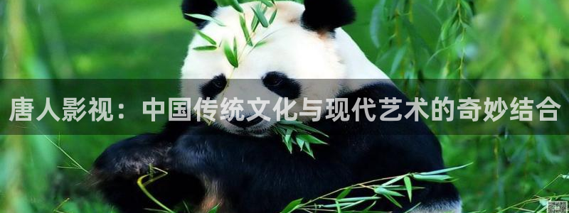 午夜电影aaa