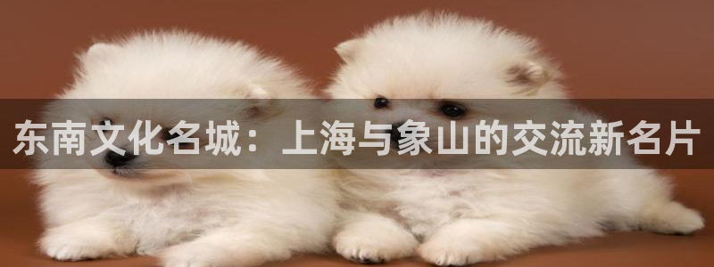 aa天堂影院