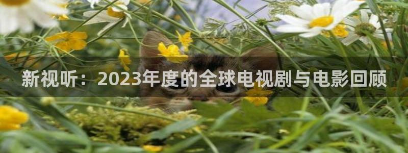 一级a爱大片在线不卡